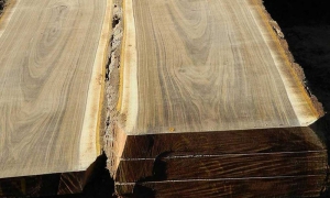 مشخصات و کیفیت چوب گردو