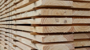 آموزش و استانداردهای خشک کردن چوب در فضای باز