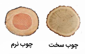 تفاوت سخت چوب و نرم چوب